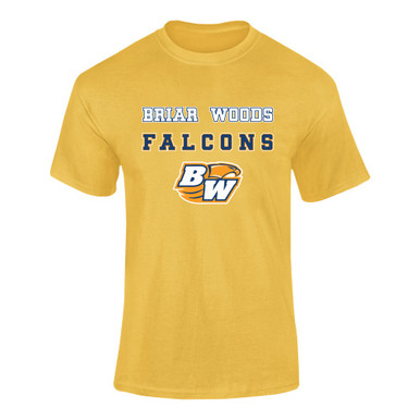 Briar Woods Falcons Spirit Men's SS T-Shirt