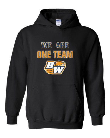 Briar Woods Falcons We Are One Team Men's Hoodie