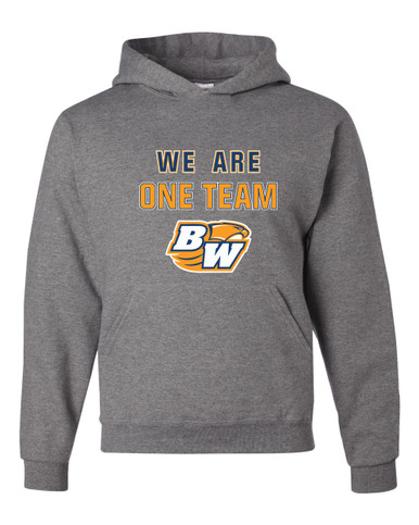 Briar Woods Falcons We Are One Team Men's Premium Hoodie