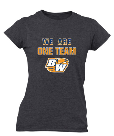 Briar Woods Falcons We Are One Team Women's Premium SS T-Shirt