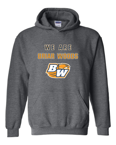 Briar Woods Falcons We Are Men's Hoodie
