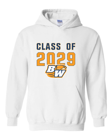 Briar Woods Falcons Class of 2029 Men's Hoodie