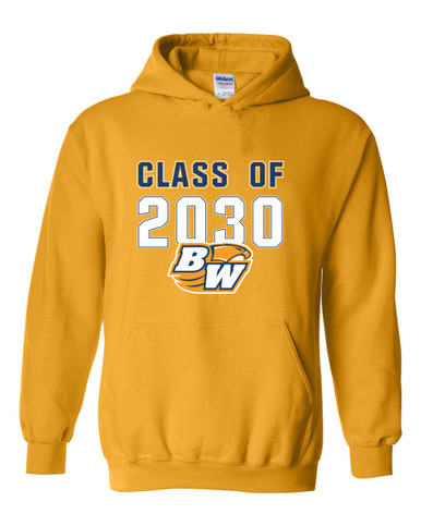 Briar Woods Falcons Class of 2030 Men's Hoodie