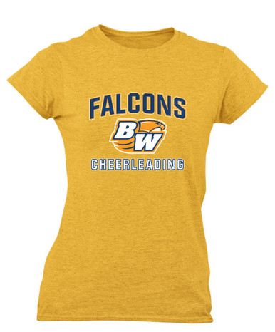 Briar Woods Falcons Cheerleading Women's Premium SS T-Shirt
