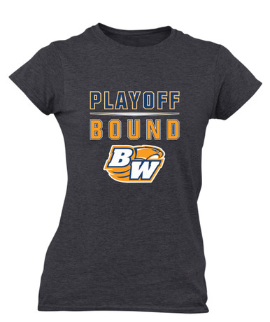 Briar Woods Falcons Playoff Bound Women's Premium SS T-Shirt