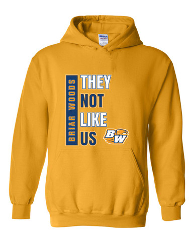 Briar Woods Falcons They Not Like Us #1 Men's Hoodie