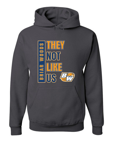Briar Woods Falcons They Not Like Us #1 Men's Premium Hoodie