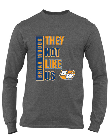 Briar Woods Falcons They Not Like Us #1 Men's Premium LS T-Shirt