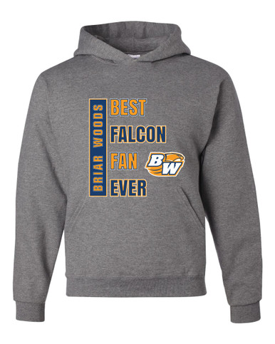 Briar Woods Falcons Best Falcon Fan Men's Premium Hoodie