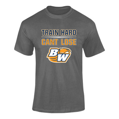 Briar Woods Falcons Train Hard, Can't Lose Men's Premium SS T-Shirt