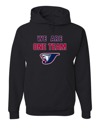 Jordan Falcons We Are One Team Men's Premium Hoodie