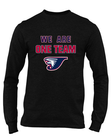 Jordan Falcons We Are One Team Men's Premium LS T-Shirt