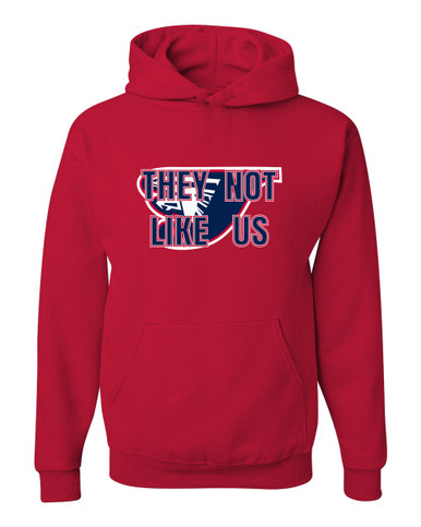 Jordan Falcons They Not Like Us #2 Men's Premium Hoodie