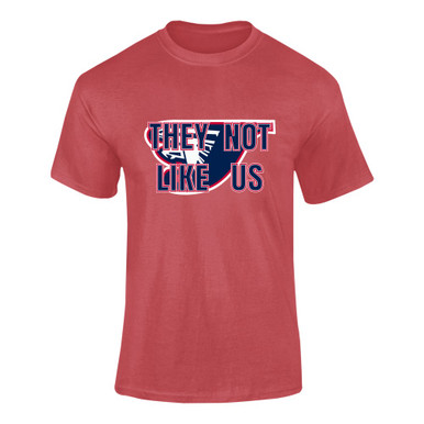 Jordan Falcons They Not Like Us #2 Men's Premium SS T-Shirt