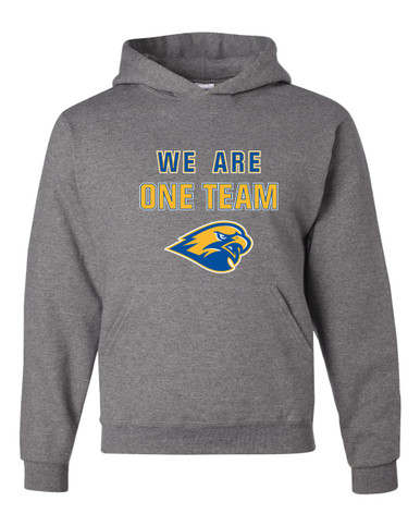 Channelview Falcons We Are One Team Men's Premium Hoodie