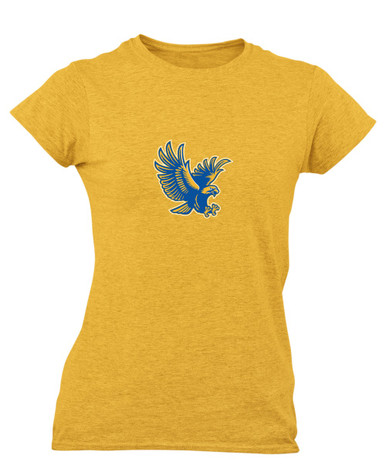 Channelview Falcons Flying Mascot #1 Women's SS T-Shirt