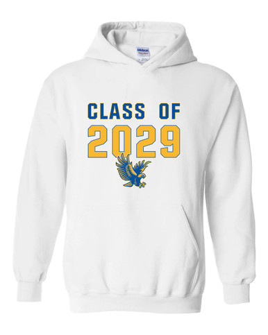 Channelview Falcons Flying Class of 2029 Men's Hoodie