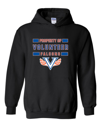 Volunteer Falcons V Wings Property Of Men's Hoodie
