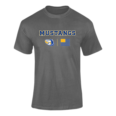 Sahuarita Mustangs Team Colors Flag Men's Premium SS T-Shirt