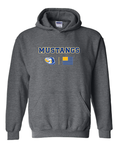 Sahuarita Mustangs Team Colors Flag Men's Hoodie
