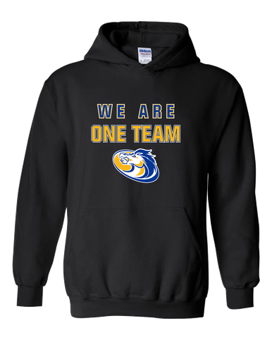 Sahuarita Mustangs We Are One Team Men's Hoodie