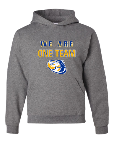 Sahuarita Mustangs We Are One Team Men's Premium Hoodie