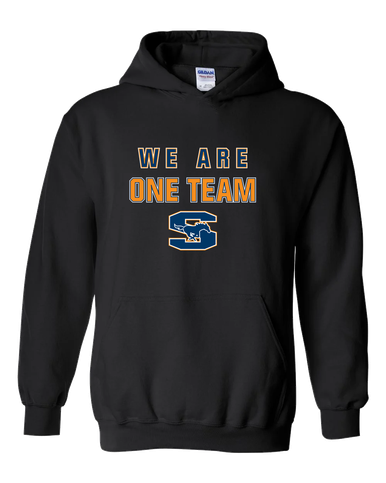 Sachse Mustangs We Are One Team Men's Hoodie