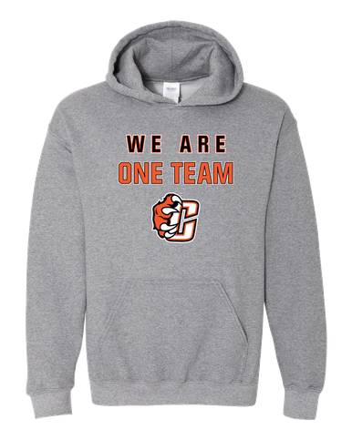 Central East Grizzlies We Are One Team Men's Hoodie