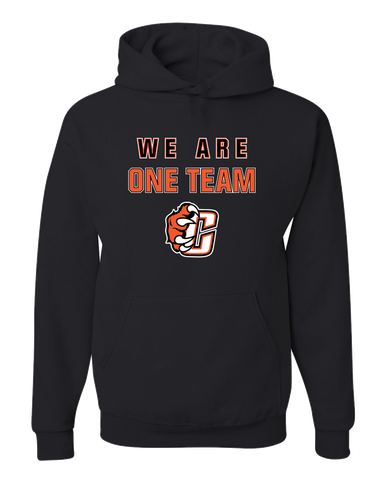 Central East Grizzlies We Are One Team Men's Premium Hoodie