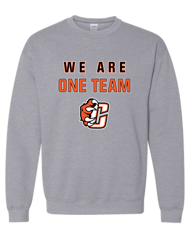 Central East Grizzlies We Are One Team Men's Sweatshirt