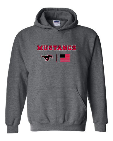South Western Mustangs Team Colors Flag Men's Hoodie