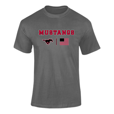 South Western Mustangs Team Colors Flag Men's SS T-Shirt
