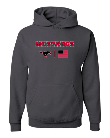 South Western Mustangs Team Colors Flag Men's Premium Hoodie