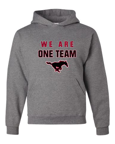 South Western Mustangs We Are One Team Men's Premium Hoodie
