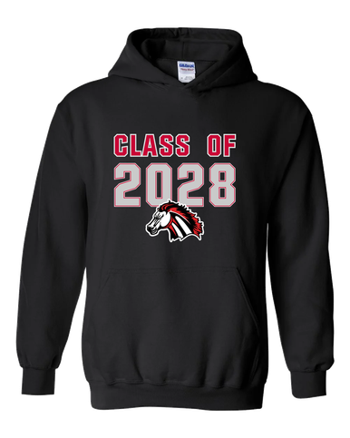 Creekview Mustangs Class of 2028 Men's Hoodie