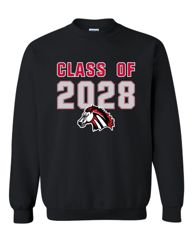 Creekview Mustangs Class of 2028 Men's Sweatshirt