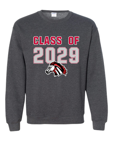 Creekview Mustangs Class of 2029 Men's Sweatshirt