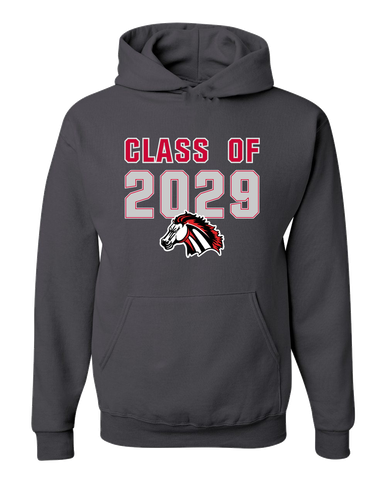 Creekview Mustangs Class of 2029 Men's Premium Hoodie