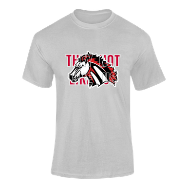 Creekview Mustangs They Not Like Us #2 Men's Premium SS T-Shirt