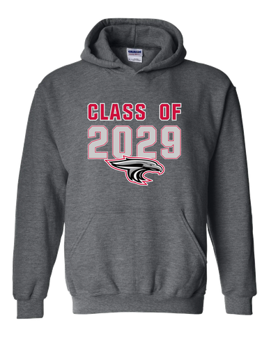 East River Falcons Class of 2029 Men's Hoodie