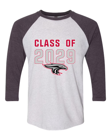 East River Falcons Class of 2029 Men's Baseball T-Shirt