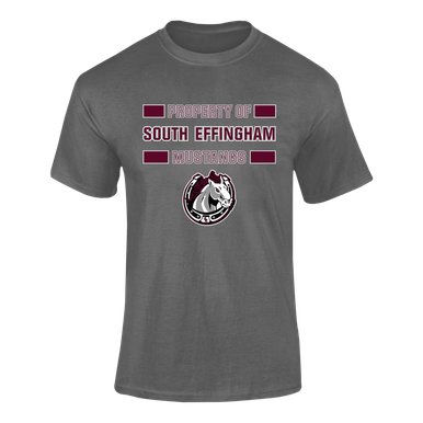 South Effingham Mustangs Property Of Men's Premium SS T-Shirt