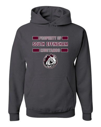 South Effingham Mustangs Property Of Men's Premium Hoodie