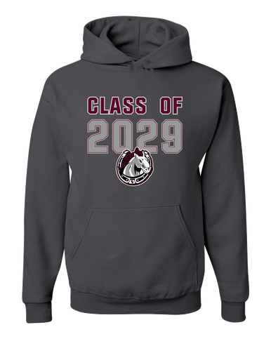 South Effingham Mustangs Class of 2029 Men's Premium Hoodie