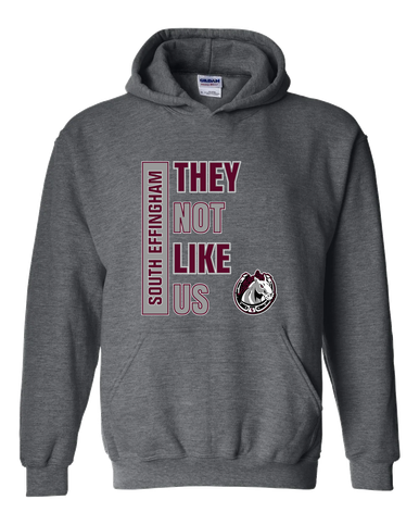 South Effingham Mustangs They Not Like Us #1 Men's Hoodie