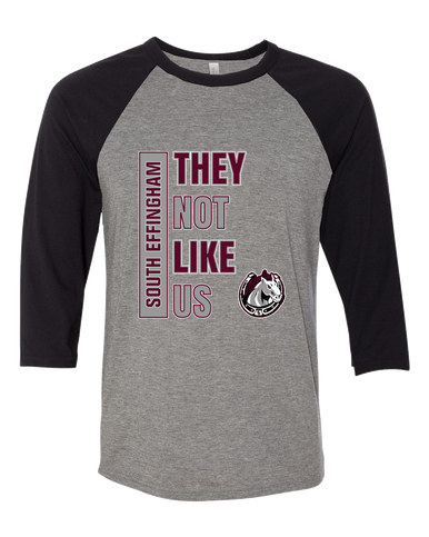 South Effingham Mustangs They Not Like Us #1 Men's Baseball T-Shirt