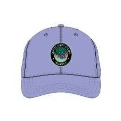 hat-purple.jpg