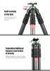 SunwayFoto T4030CSI, 68” Tall Inverted Leg Series Carbon Fiber Tripod with 38mm Arca Ballhead, 40mm Tubes 3 Section