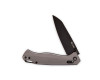 Buck Knives 698 Ferrox Knife. Crossbar lock. Silver.