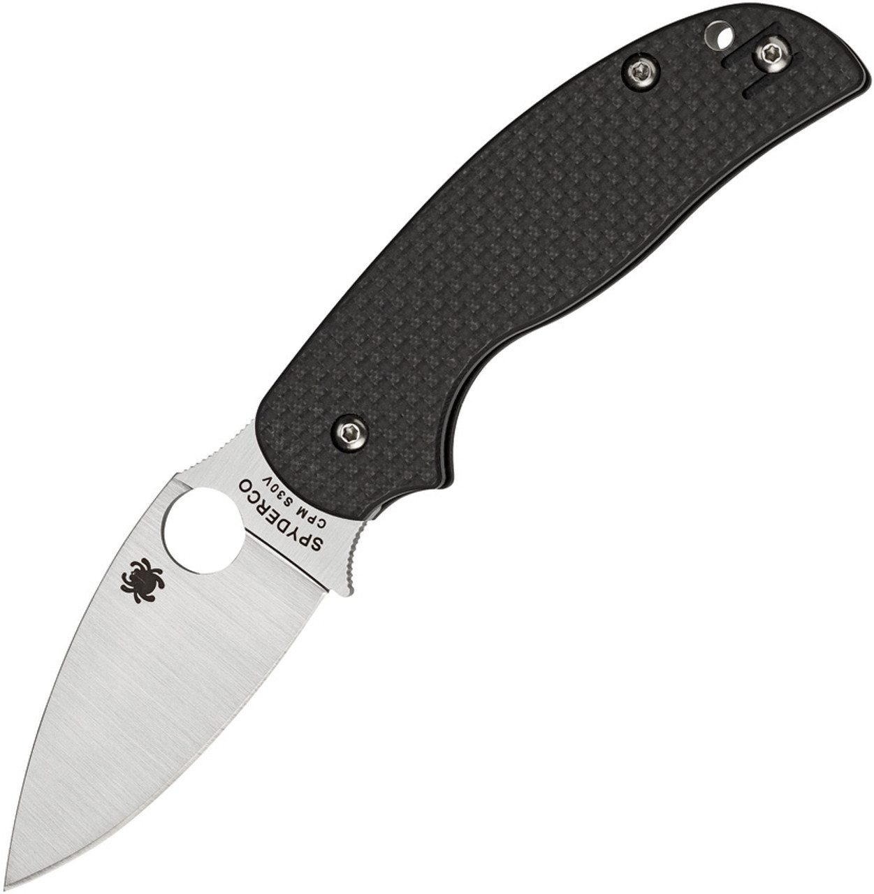 Spyderco Sage 5 (SC123CFPCL)